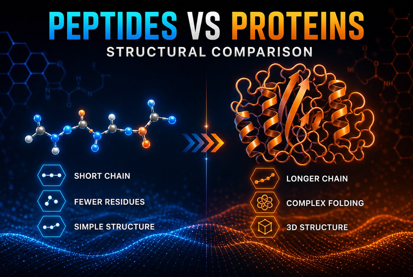 Comparison of Peptide and Proteins: What’s the Difference in in peptides vs proteins.