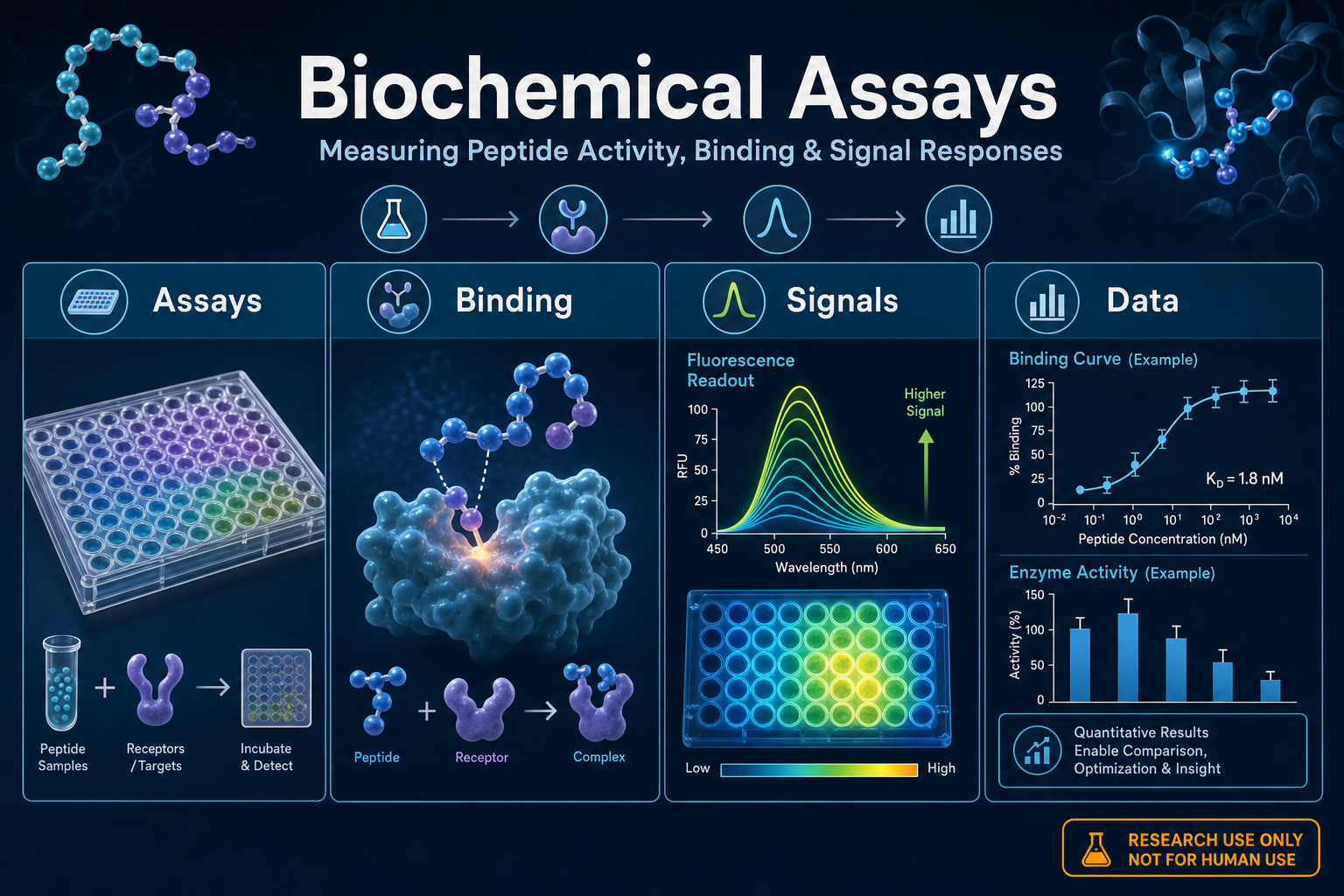 Biochemical Assays: Measuring Peptide Activity and Binding