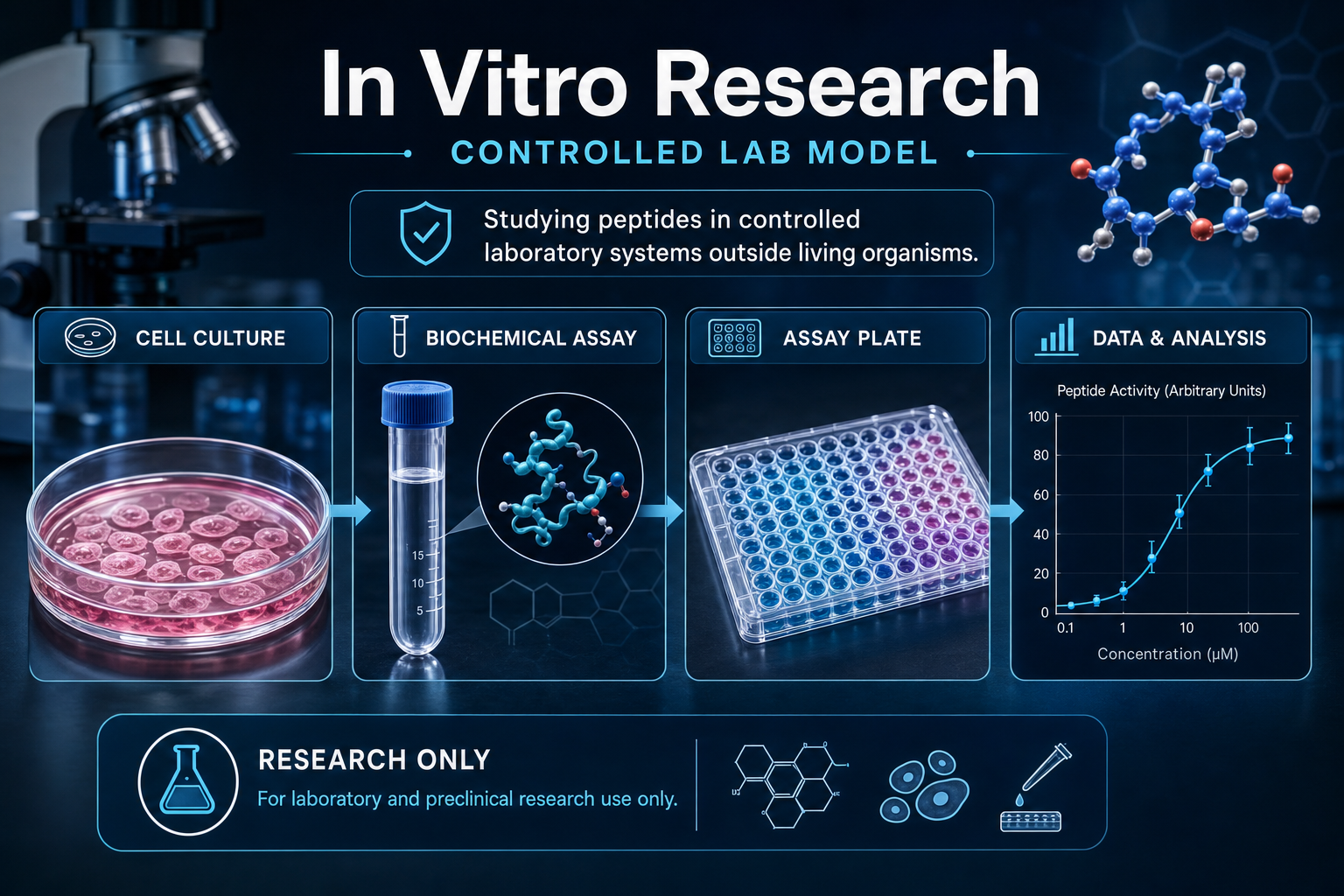In Vitro Peptide Research: Controlled Laboratory Models